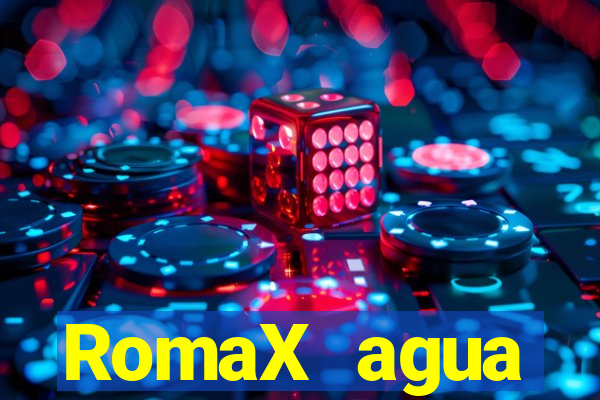 RomaX agua sanitaria fispq agua sanitaria romax